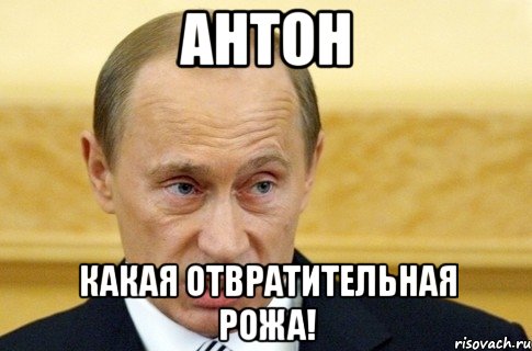 Антон Какая отвратительная рожа!, Мем путин