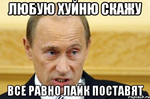 ЛЮБУЮ ХУЙНЮ СКАЖУ ВСЕ РАВНО ЛАЙК ПОСТАВЯТ, Мем путин