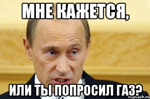 Мне кажется, или ты попросил газ?, Мем путин