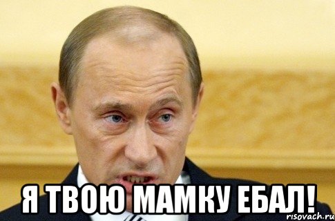  Я твою мамку ебал!, Мем путин