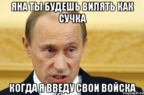 Яна ты будешь вилять как сучка Когда я введу свои войска, Мем путин