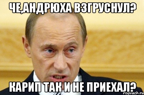 Че,Андрюха взгруснул? Карип так и не приехал?, Мем путин