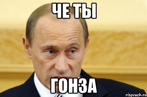 Че ты Гонза, Мем путин