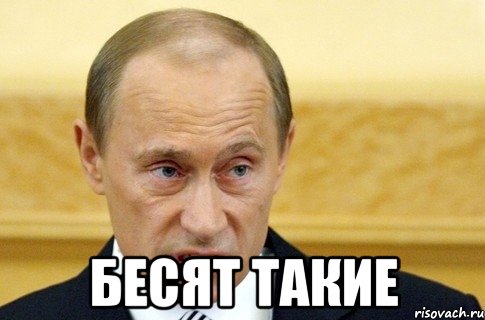  бесят такие, Мем путин