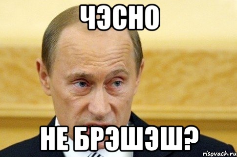 Чэсно Не брэшэш?, Мем путин