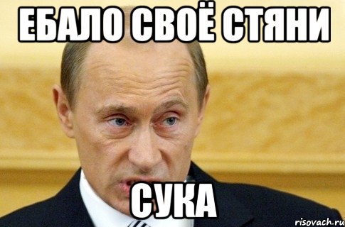 Ебало своё стяни сука, Мем путин