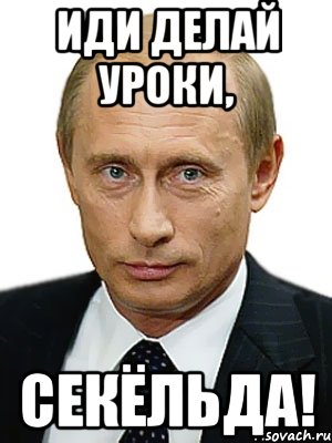 Иди делай уроки, СЕКЁЛЬДА!, Мем Путин