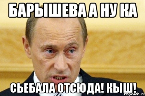 Барышева а ну ка Сьебала отсюда! Кыш!, Мем путин