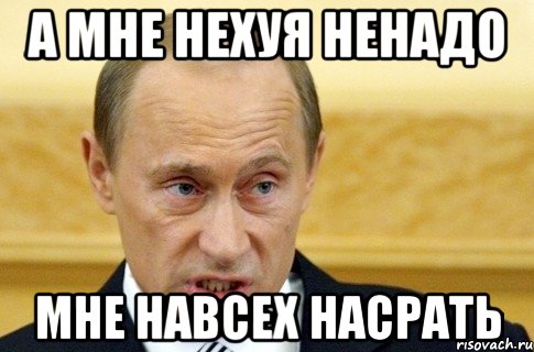 А мне нехуя ненадо мне навсех насрать, Мем путин