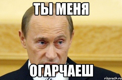 Ты меня Огарчаеш, Мем путин