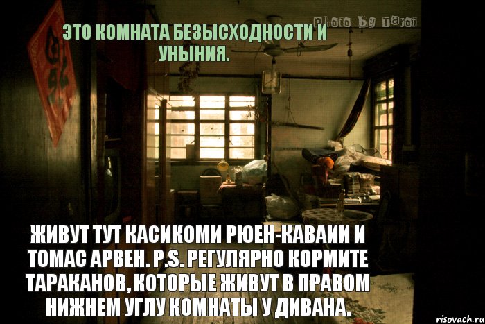 Это комната безысходности и уныния. Живут тут Касикоми Рюен-Каваии и Томас Арвен. P.S. Регулярно кормите тараканов, которые живут в правом нижнем углу комнаты у дивана., Комикс пв