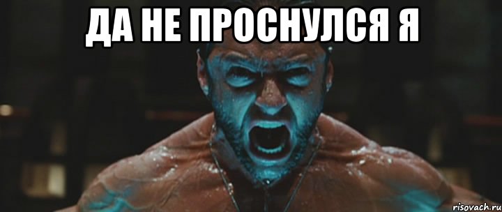 Да не проснулся я , Мем росомаха