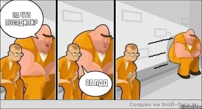 За что посадили? За ПДД