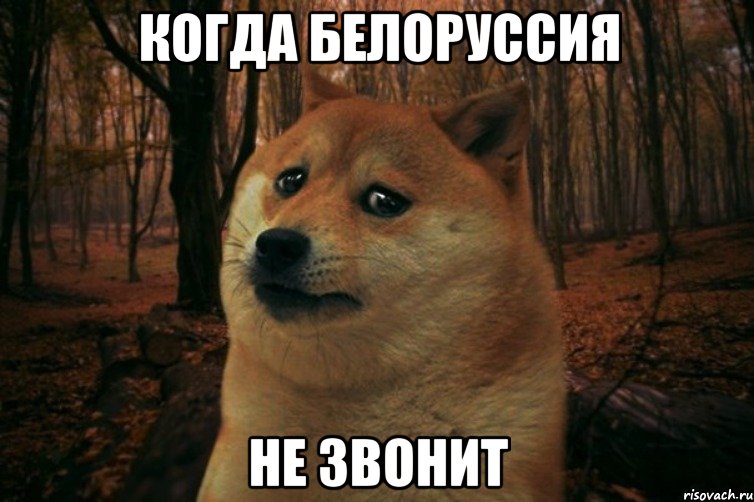 КОГДА БЕЛОРУССИЯ НЕ ЗВОНИТ, Мем SAD DOGE