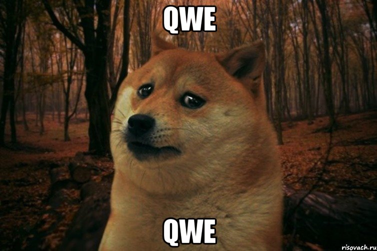 qwe qwe, Мем SAD DOGE