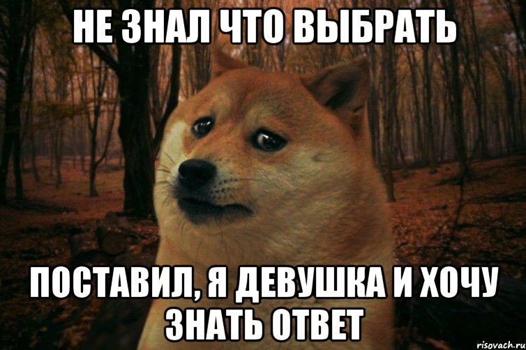 не знал что выбрать поставил, я девушка и хочу знать ответ, Мем SAD DOGE