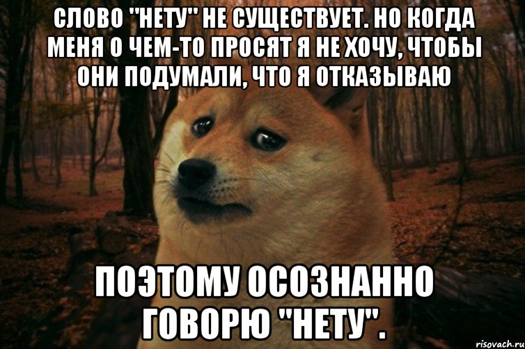 Слово "нету" не существует. Но когда меня о чем-то просят я не хочу, чтобы они подумали, что я отказываю Поэтому осознанно говорю "нету"., Мем SAD DOGE