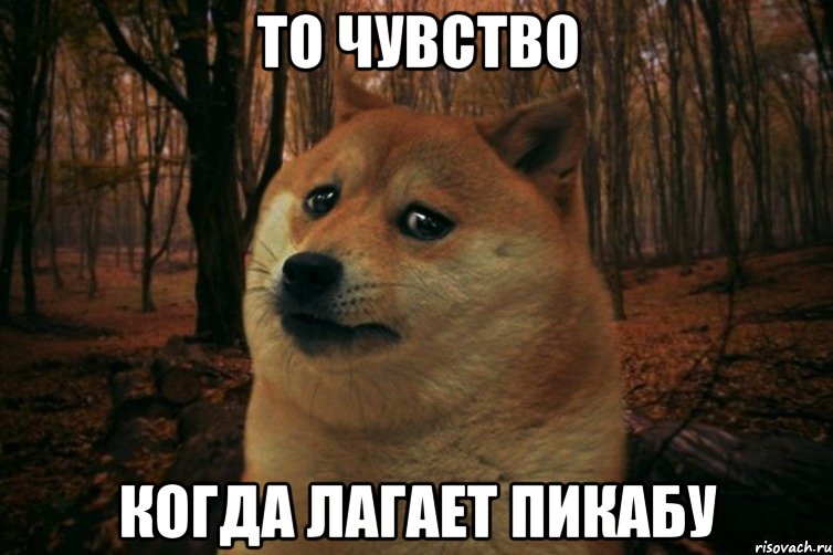 То чувство когда лагает Пикабу, Мем SAD DOGE