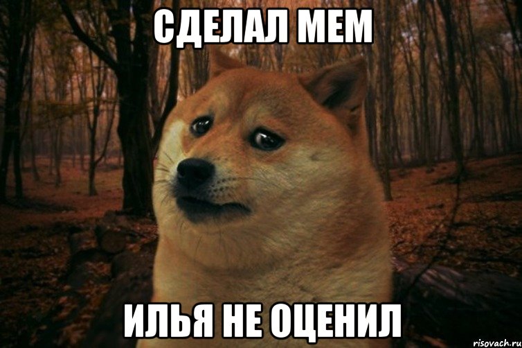 Сделал мем илья не оценил, Мем SAD DOGE