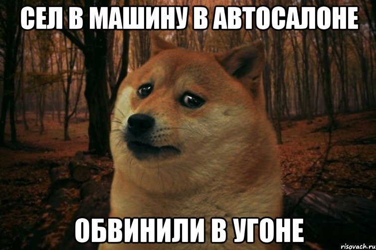 сел в машину в автосалоне обвинили в угоне, Мем SAD DOGE