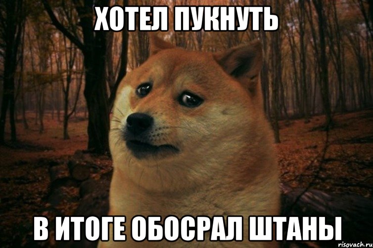 Хотел пукнуть в итоге обосрал штаны, Мем SAD DOGE