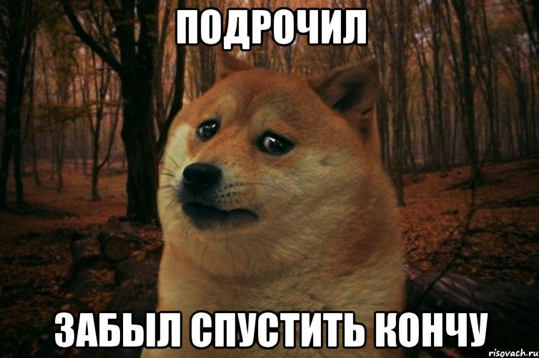 подрочил забыл спустить кончу, Мем SAD DOGE