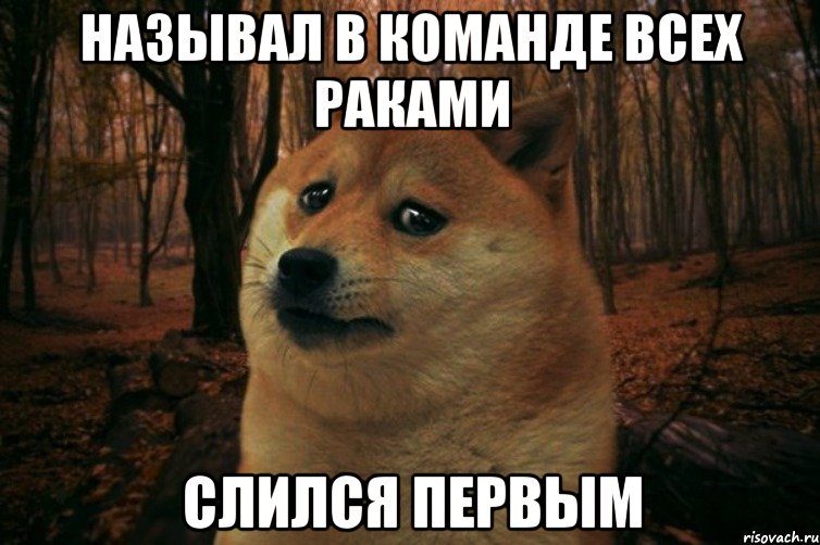 Называл в команде всех раками Слился первым, Мем SAD DOGE