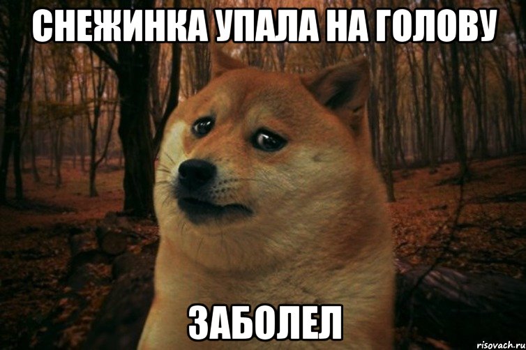 снежинка упала на голову заболел, Мем SAD DOGE