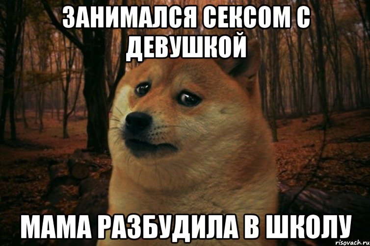 занимался сексом с девушкой мама разбудила в школу, Мем SAD DOGE