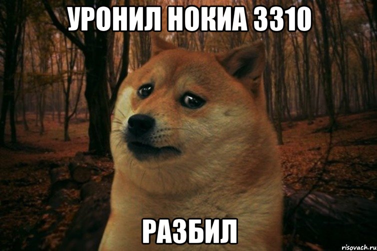 уронил нокиа 3310 разбил, Мем SAD DOGE