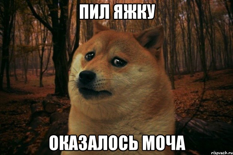 Пил яжку Оказалось моча, Мем SAD DOGE