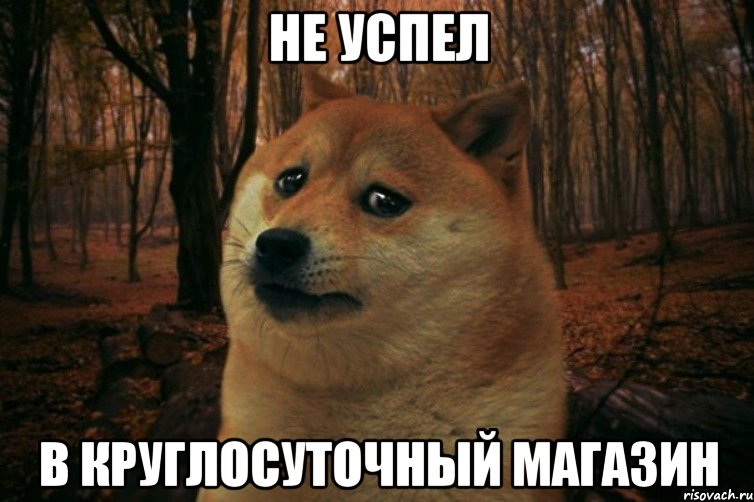 не успел в круглосуточный магазин, Мем SAD DOGE