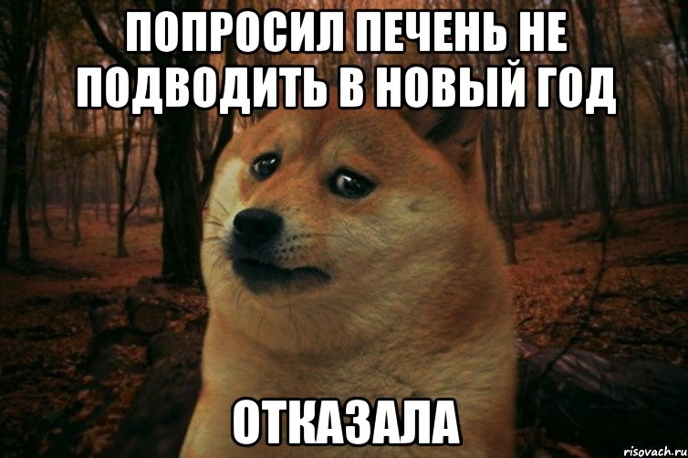 попросил печень не подводить в новый год отказала, Мем SAD DOGE