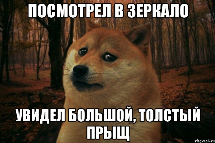 посмотрел в зеркало увидел большой, толстый прыщ, Мем SAD DOGE