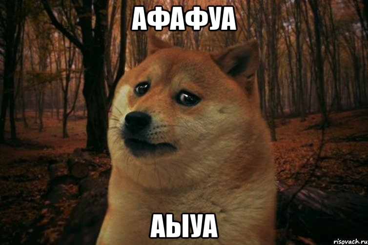 афафуа аыуа, Мем SAD DOGE