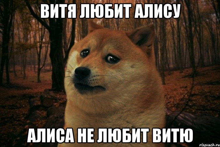 Витя любит Алису Алиса не любит Витю, Мем SAD DOGE