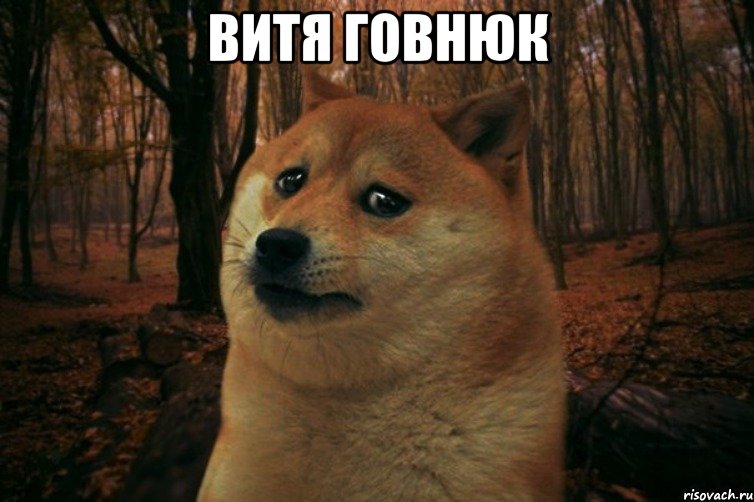 Витя говнюк , Мем SAD DOGE