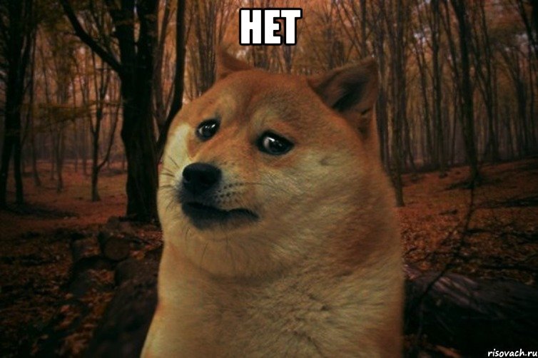 Нет , Мем SAD DOGE