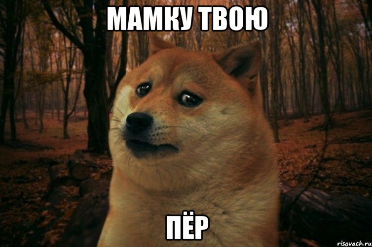 Мамку твою пёр, Мем SAD DOGE