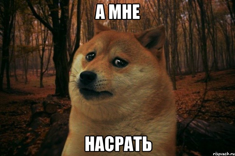 А мне насрать, Мем SAD DOGE