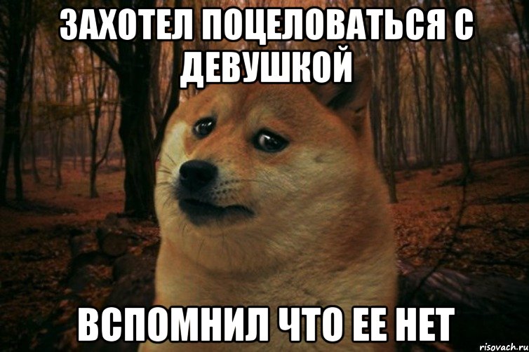 захотел поцеловаться с девушкой вспомнил что ее нет, Мем SAD DOGE