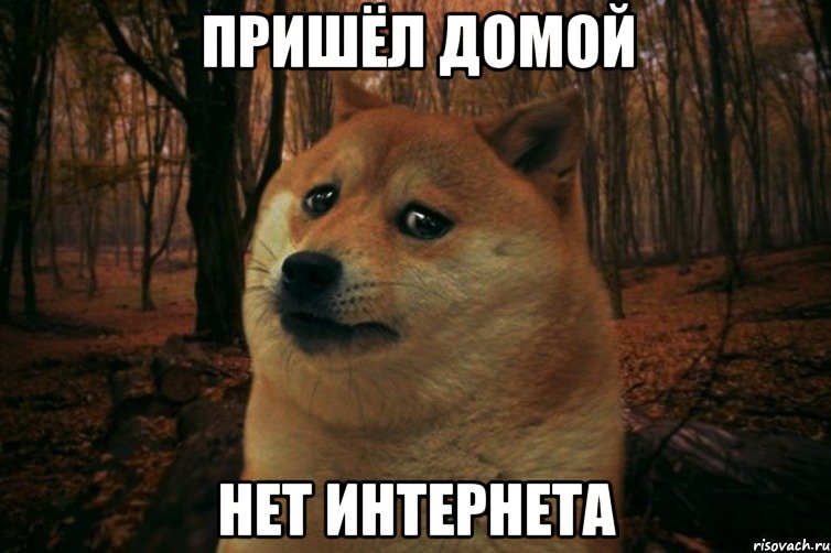 Пришёл домой Нет интернета, Мем SAD DOGE