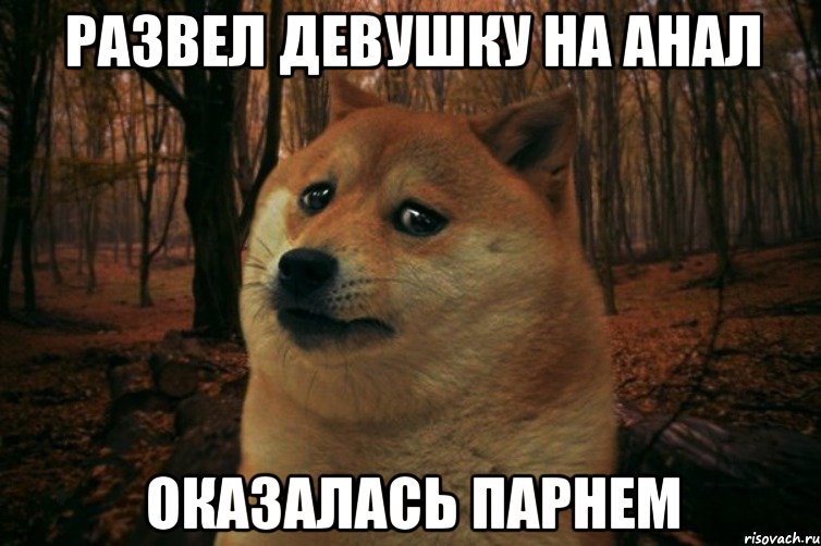 Развел девушку на анал оказалась парнем, Мем SAD DOGE