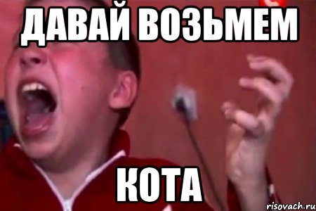 давай возьмем кота