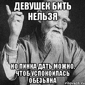 девушек бить нельзя но пинка дать можно, чтоб успокоилась обезьяна, Мем Монах-мудрец (сэнсей)