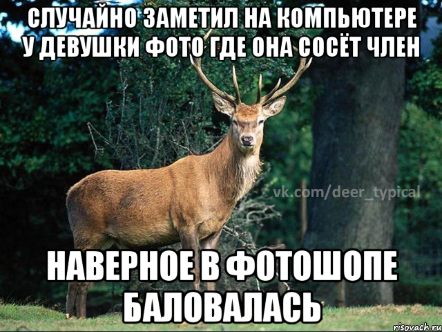 случайно заметил на компьютере у девушки фото где она сосёт член наверное в фотошопе баловалась