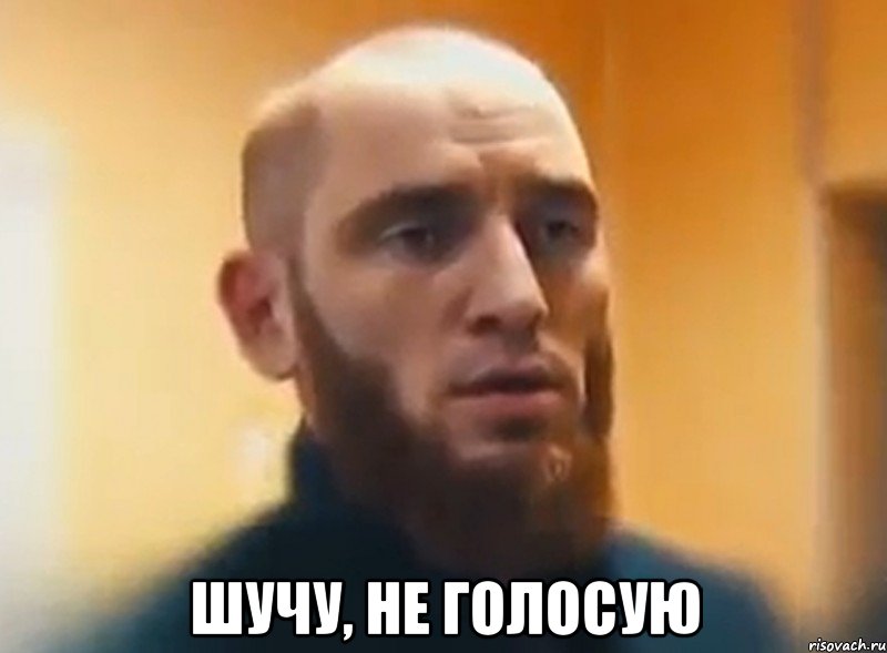  Шучу, не голосую, Мем Шучу