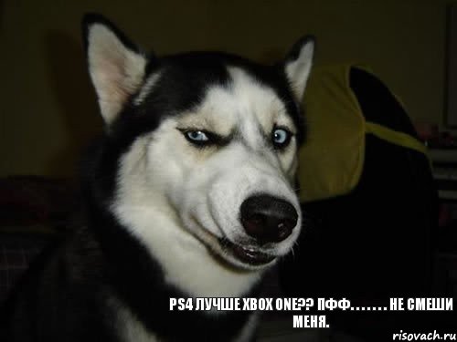 PS4 лучше XBOX ONE?? Пфф. . . . . . . Не смеши меня., Комикс  Собака подозревака