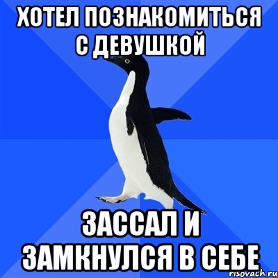 Хотел познакомиться с девушкой Зассал и замкнулся в себе, Мем  Социально-неуклюжий пингвин