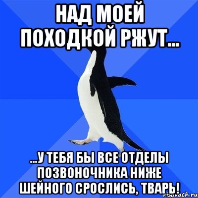 Над моей походкой ржут... ...у тебя бы все отделы позвоночника ниже шейного срослись, тварь!, Мем  Социально-неуклюжий пингвин